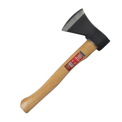 23998