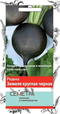 207813