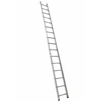 25255