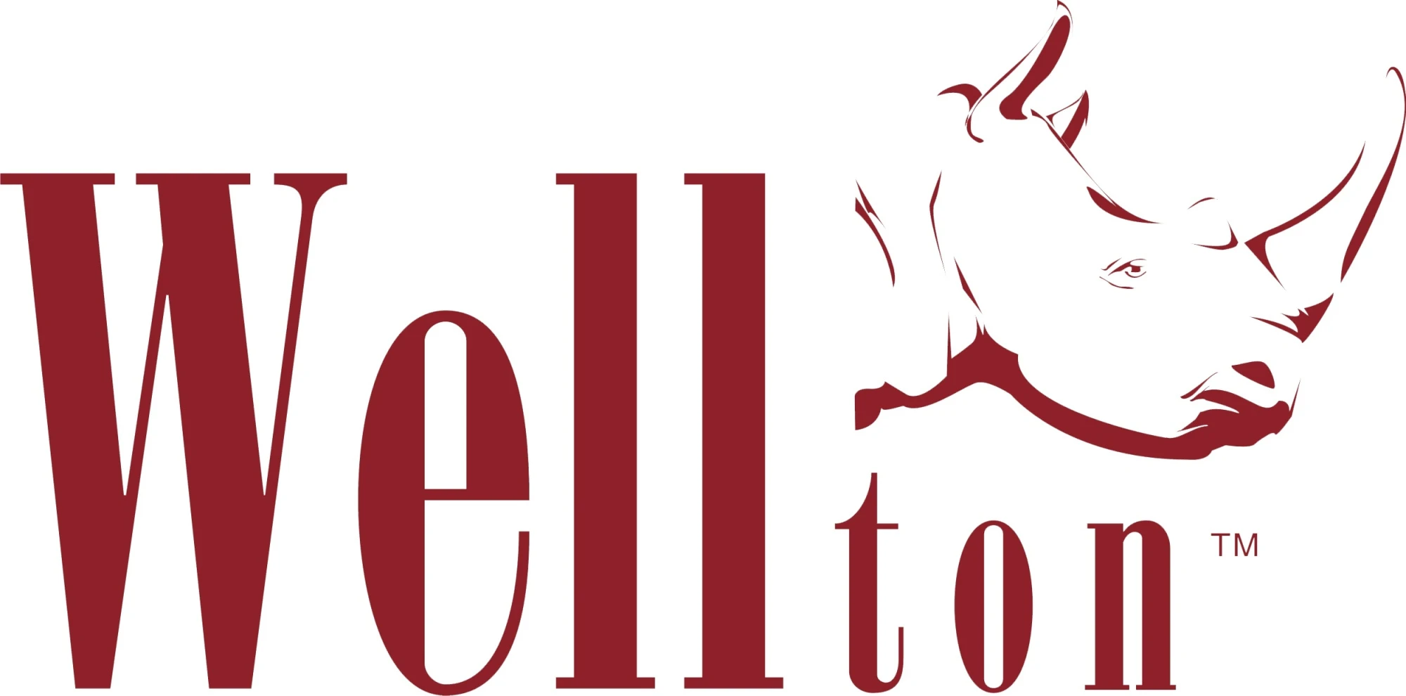 Бренд Wellton