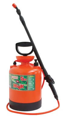 29561