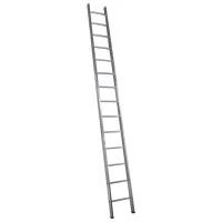 25253