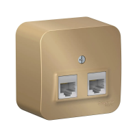 Купить Розетка компьютерная открыт. уст. "BLANCA" 2-х местн. RJ45, титан (1/12/24) "SCHNEIDER"