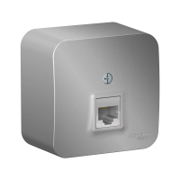 Купить Розетка компьютерная открыт. уст. "BLANCA" 1 местн. RJ45, алюминий (1/12/24) "SCHNEIDER"