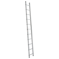 Купить Лестница приставная 12 ступеней (1) "Новая высота" NV-1210