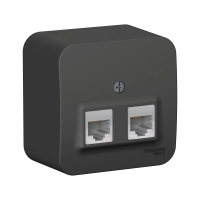 Купить Розетка компьютерная открыт. уст. "BLANCA" 2-х местн. RJ45, антрацит (1/12/24) "SCHNEIDER"