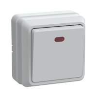 Купить Выключатель открыт. уст. "Октава" 1 кл. с индикатором вс20-1-1-об, 10а, белый (1/36/432) "IEK"