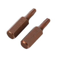 Купить Биты TORX 15  25 мм (набор 2 шт.) (1/20) "EDGE BY PATRIOT" 818010018