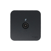 Купить Розетка телевизионная открыт. уст. "BLANCA" коннектор, антрацит (1/18/36) "SCHNEIDER"