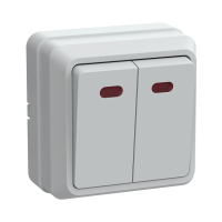 Купить Выключатель открыт. уст. "Октава" 2-х кл. с индикатором вс20-2-1-об, 10а, белый (1/36/432) "IEK"