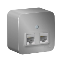 Купить Розетка компьютерная открыт. уст. "BLANCA" 2-х местн. RJ45, алюминий (1/12/24) "SCHNEIDER"