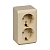 Купить Розетка открыт. уст. "Этюд" 2-х местн. с заземл, с шторками 16а, кремовый (1/16/96) "SCHNEIDER"