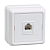 Купить Розетка телефонная "Октава" 1 местн. рт20-об, белый (1/36/432) "IEK"